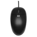 Hewlett Packard USB Optical Scroll Mouse