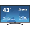 iiyama 43i UW VA-panel 3840x2160 UHS 3ms 400cdm HDR400 Speakers