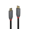 Lindy 1.5m USB 3.1 Type C Cable 5A PD Anthra Line USB Typ C Male to Male