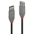 Lindy 0.5m USB 2.0 Type A Cable Anthra Line USB Type A Male to Male