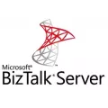 Microsoft BizTalk Server Enterprise All Languages License & Software Assurance Open Value 2 Licenses No Level 1 Year Additional Product Core License