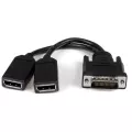 StarTech.com 8in LFH 59 Male to Dual Female DisplayPort DMS 59 Cable - DMS-59 to Dual DisplayPort Cable Adapter - DMS to 2x DP Y Splitter Cable