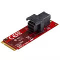 StarTech.com U.2 to M.2 Adapter for U.2 NVMe SSD - M.2 PCIe x4 Host Interface - U.2 SSD SFF-8643 Adapter - M2 PCIe Adapter - U.2 Drive Adapter - U.2 NVMe Adapter - U.2 NVMe SSD Adapter