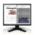 Eizo Flexscan/19 Inch/1280 x 1024/Black/IPS/14ms/ 250cd/m2/1000:1/LED Backlight