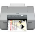 Epson GP-C831 Epson Printer PARUSB-LAN100/10BASE interface