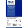 Epson SureLab Pro-S Paper Glossy A4x65 2 rolls