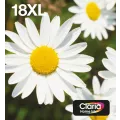 Epson Ink/18XL Daisy CMYK